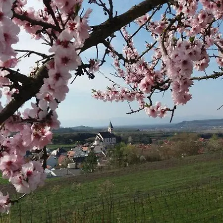Schnaeggehiesli Appartement Endingen am Kaiserstuhl