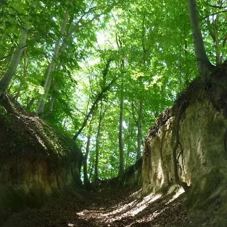 Schnaeggehiesli Endingen am Kaiserstuhl