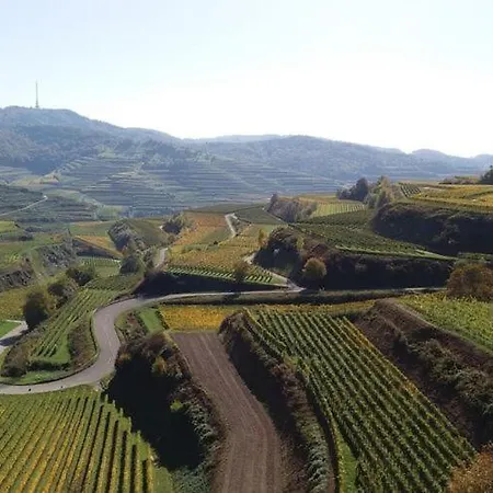 Schnaeggehiesli * Endingen am Kaiserstuhl